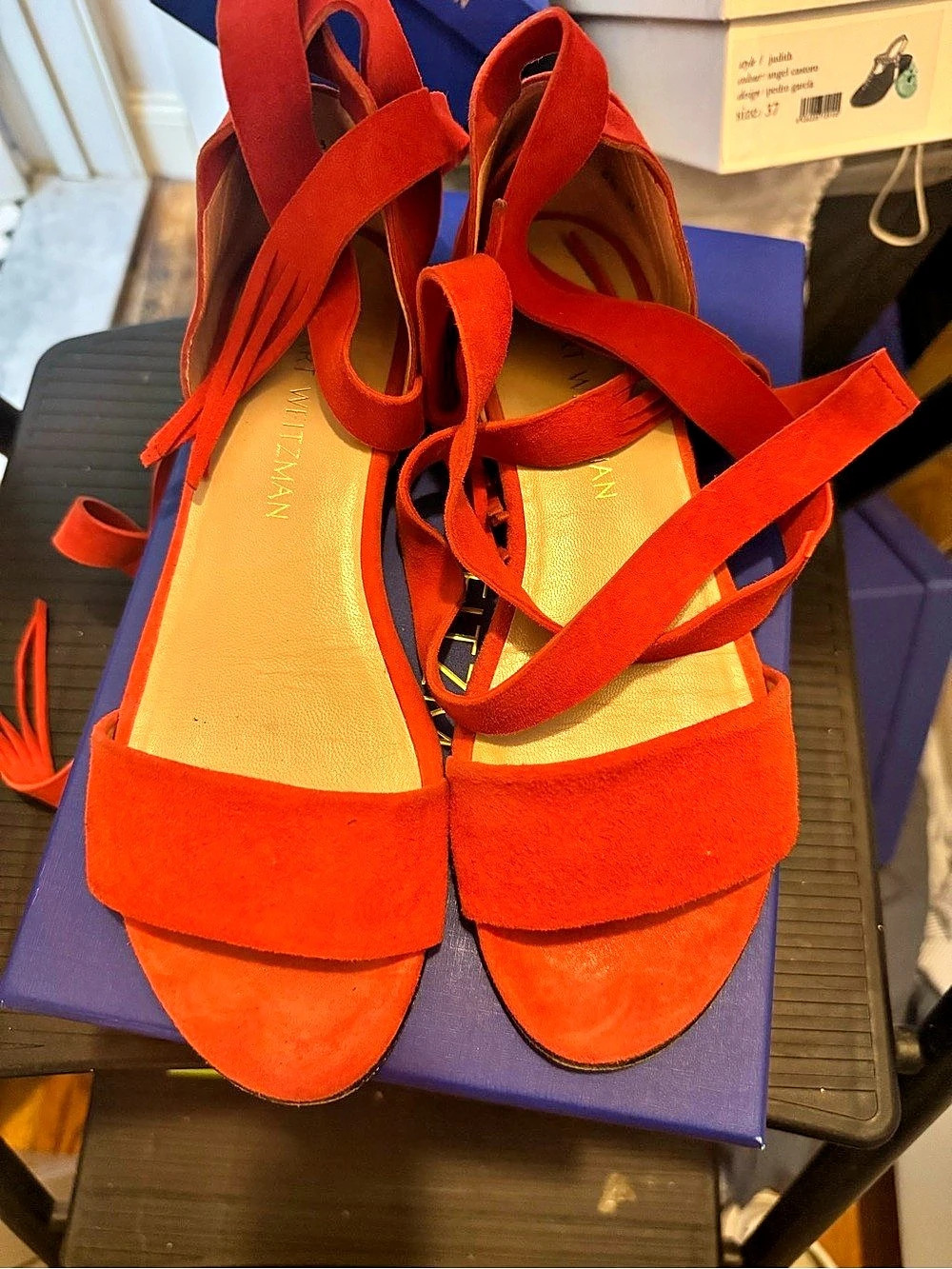 Stuart Weitzman Judith Flat Sandal Suede Ankle-Tie Sandals